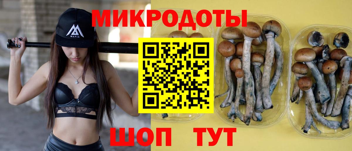 Псилоцибиновые грибы прущие грибы Миллерово